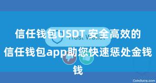 信任钱包USDT 安全高效的信任钱包app助您快速惩处金钱